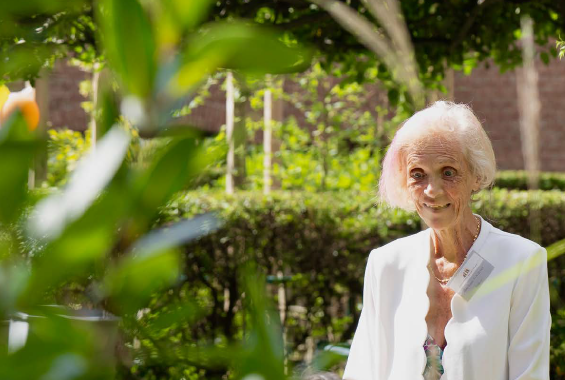 Notre Rapport D’activités 2024 Est En Ligne !